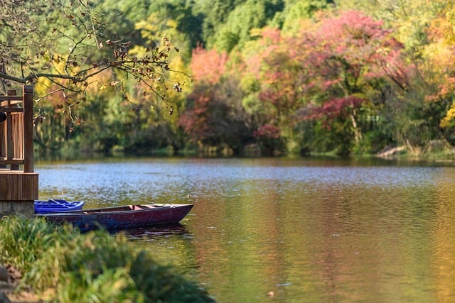 boat-tours-640x480-86130264.jpeg