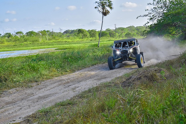 buggy adventure