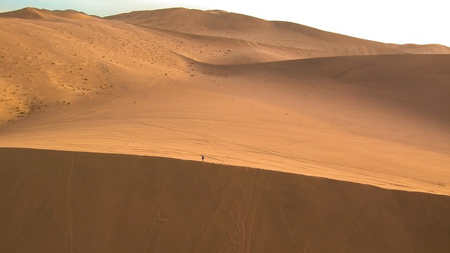 buggy desert