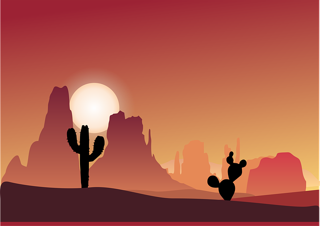 buggy desert