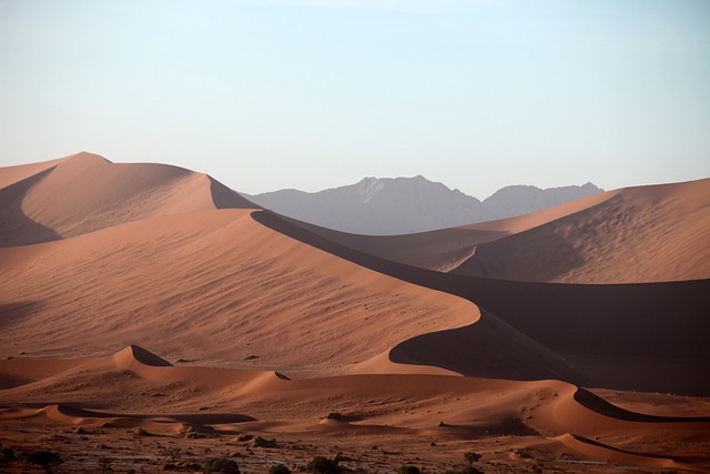 buggy desert