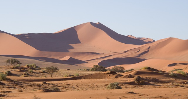 buggy desert