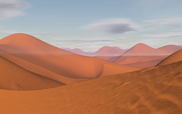 buggy desert