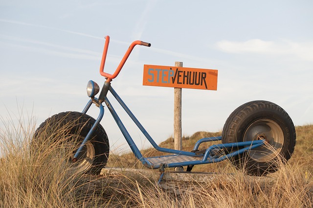 buggy rent