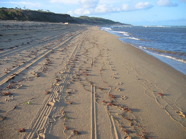 buggy sand