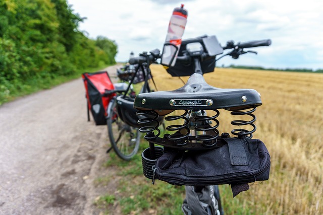 buggy tour