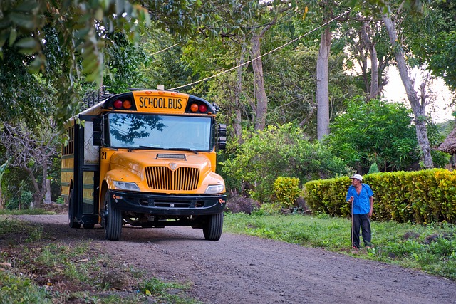 Bus rental