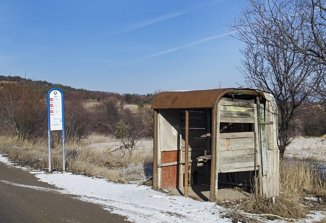 bus rental