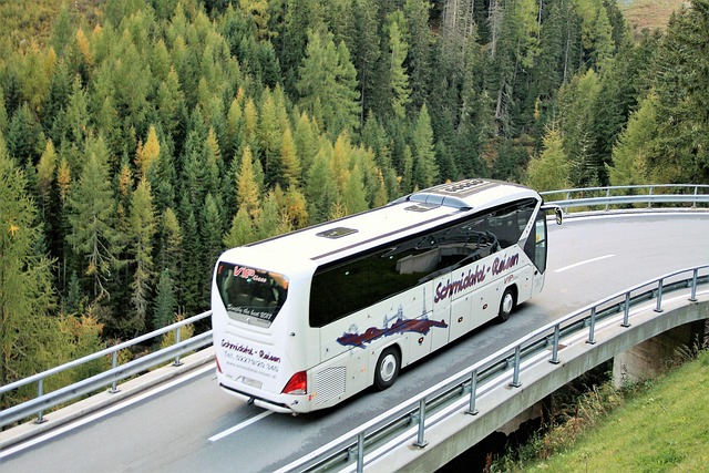 bus rental