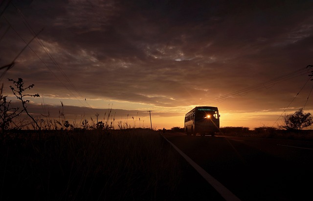 bus rental