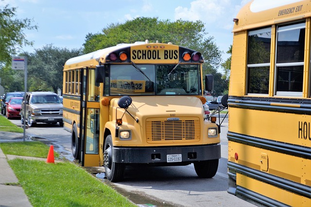 buses