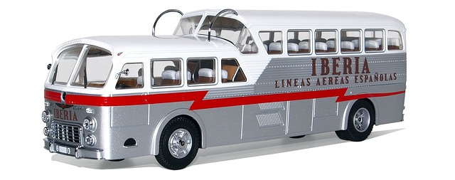 buses