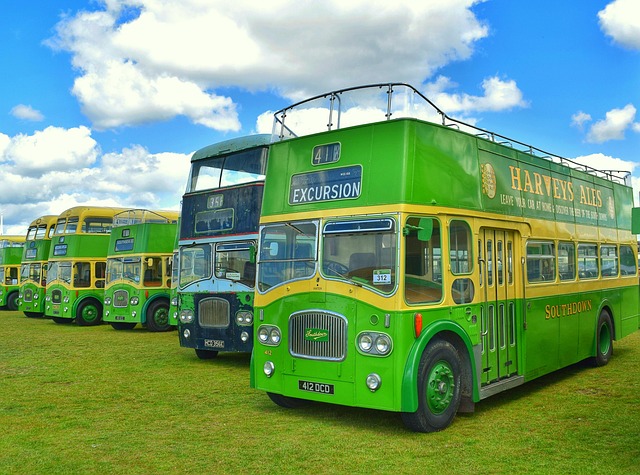 buses