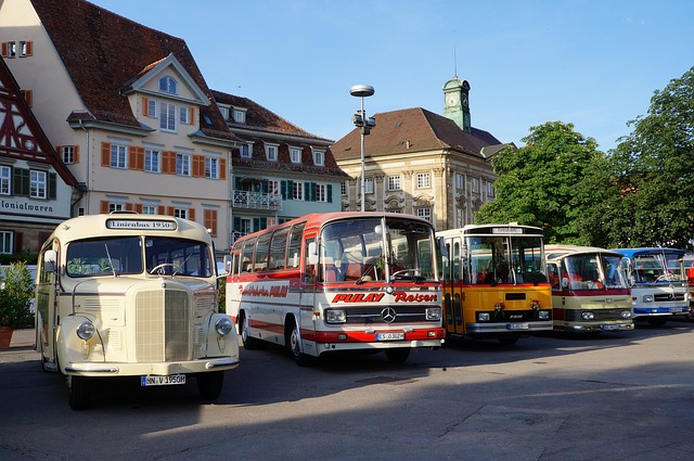 buses