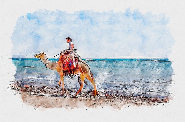 Discovering Dubai’s Heritage: The Allure of Camel Rides