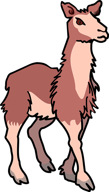 camel