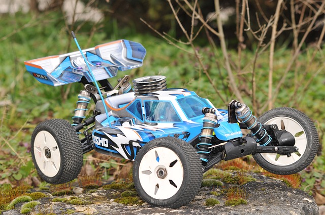 Can-Am Buggy