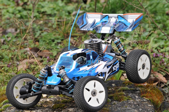 Can-Am Buggy