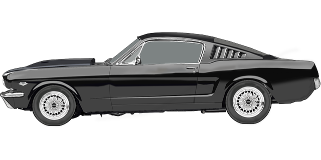 car rental