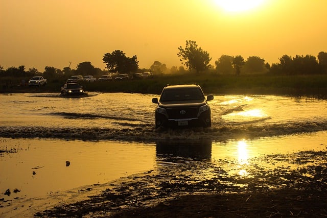 car rental