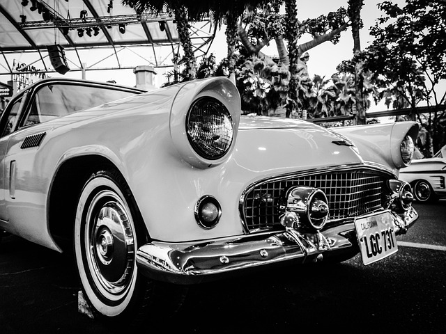 cars rental