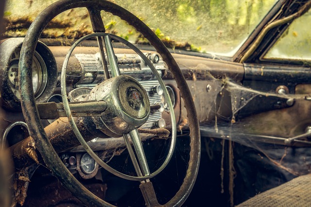 cars rental