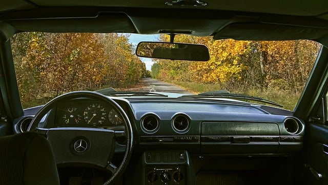 cars rental