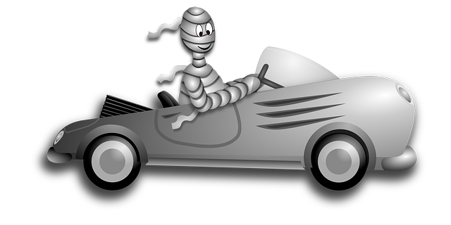 Chauffeur Service