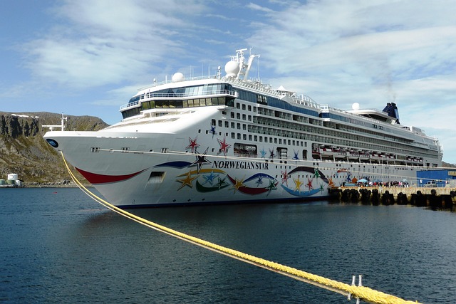 cruise