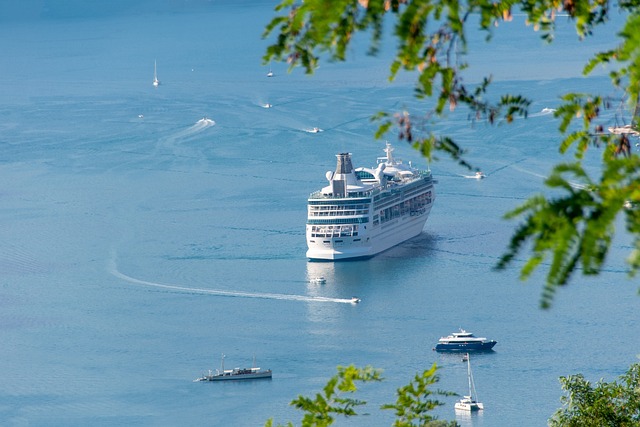 cruise booking