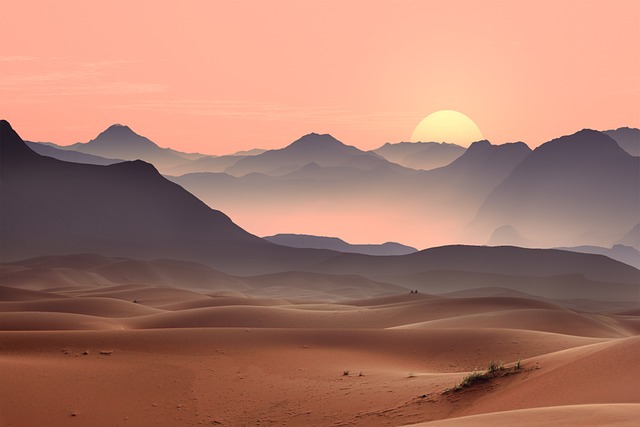 Desert