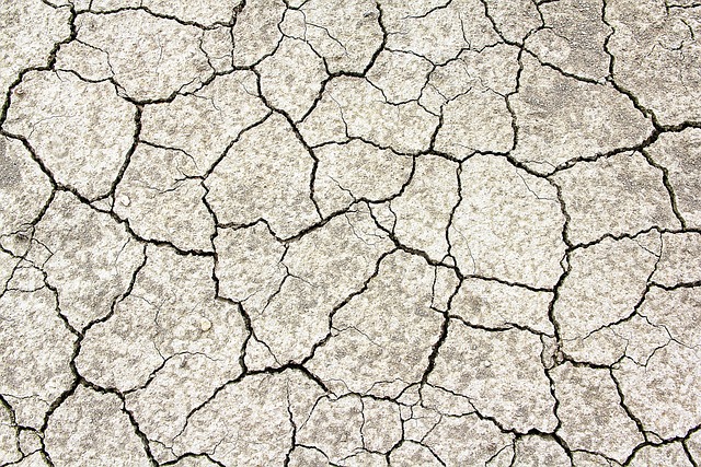 Desert