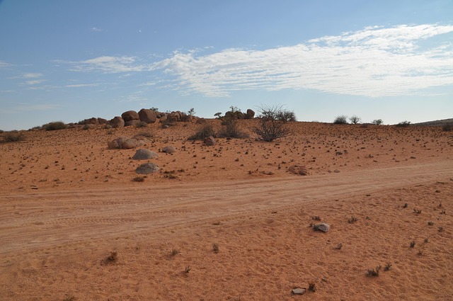 Desert