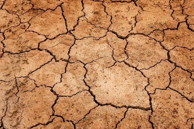 Desert