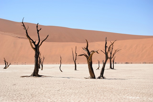 desert