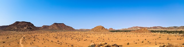 desert balloon