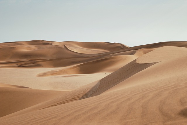 desert buggy