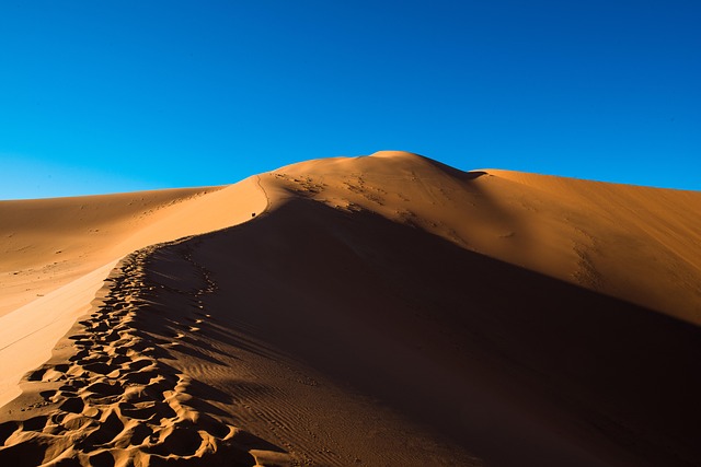desert buggy