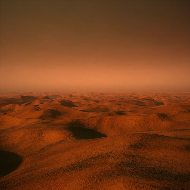 desert buggy