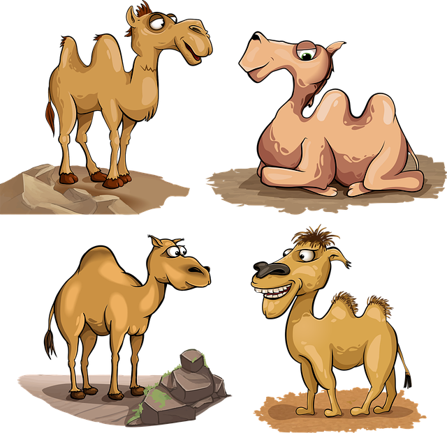desert camel
