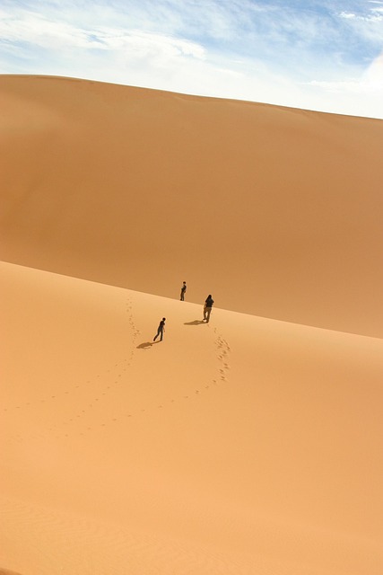 desert dune