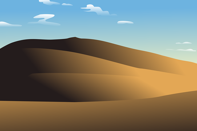 desert safari