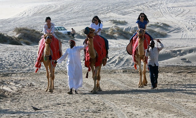 Elevate Corporate Bonding: Dubai’s Desert Safari Team Adventure Packages