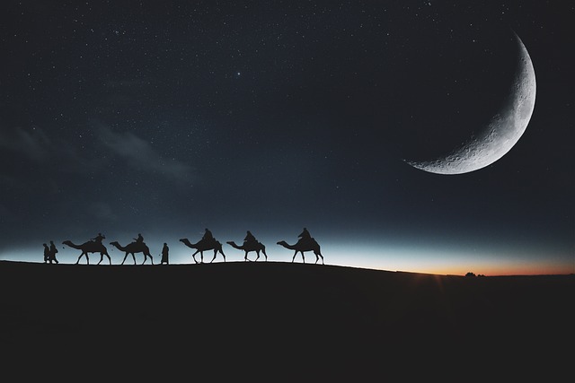 desert safari