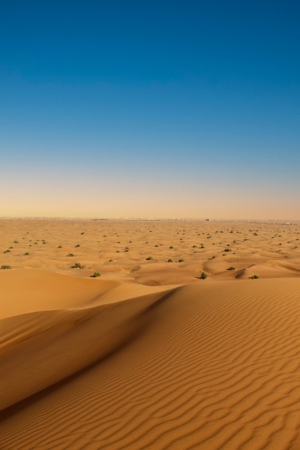 Budget Desert Safaris Dubai: Exploring the Sands on a Shoestring