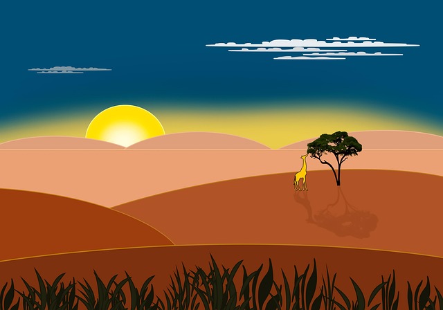 desert safari