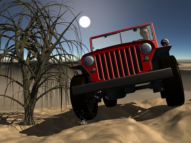 desert safari