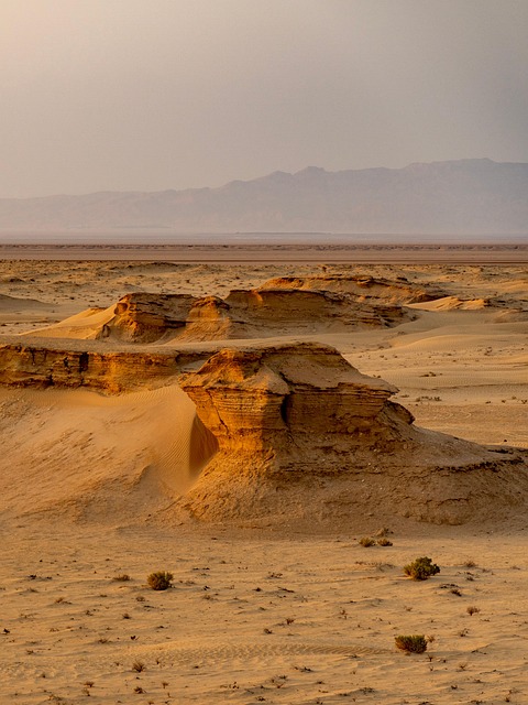 Desert safari Al Barsha