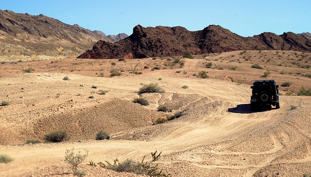 Desert safari Emirates Hills