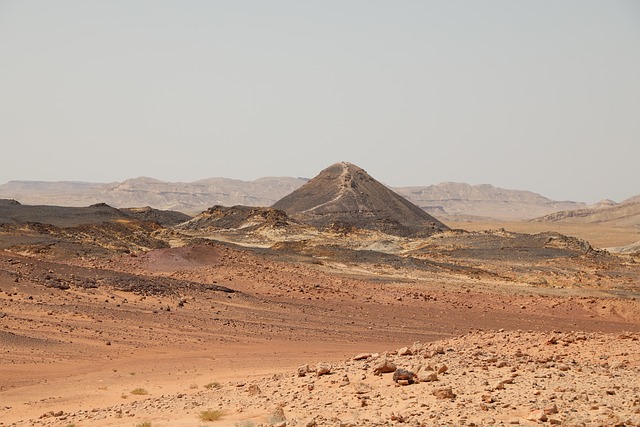 desert safari tours